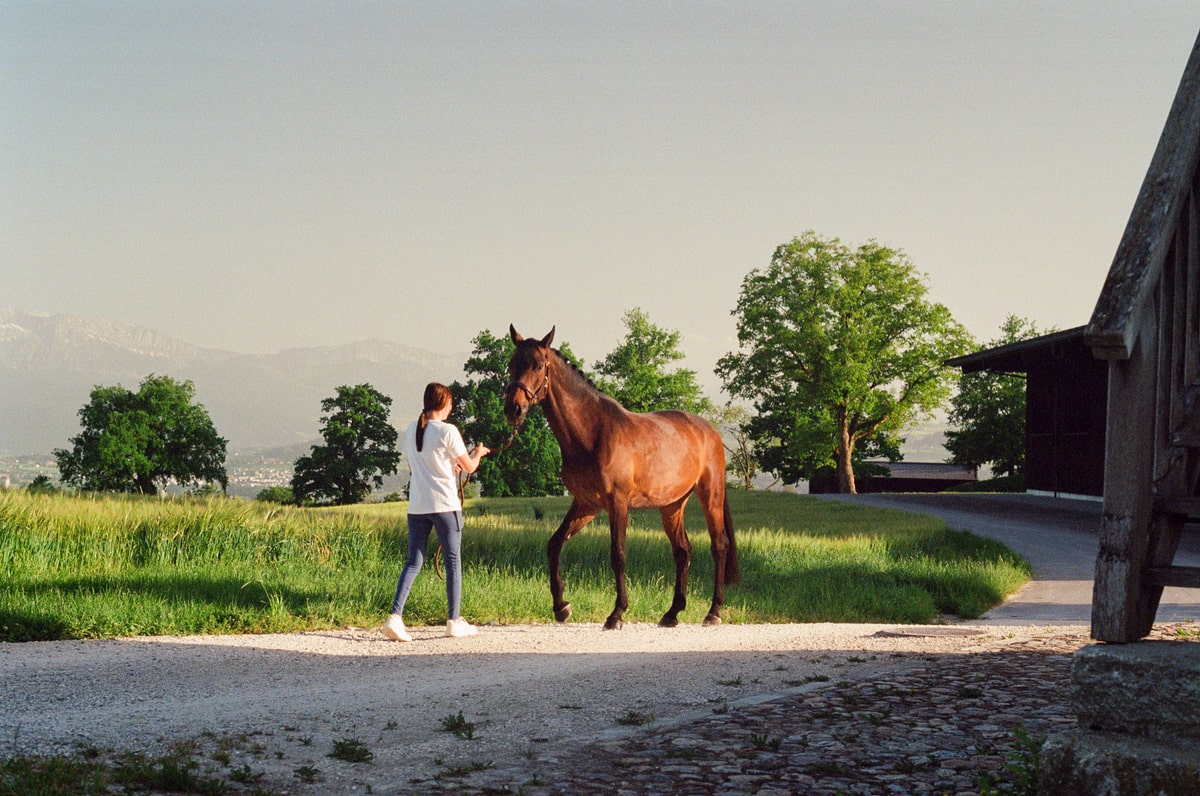 Horse and rider together outside a Swiss stable